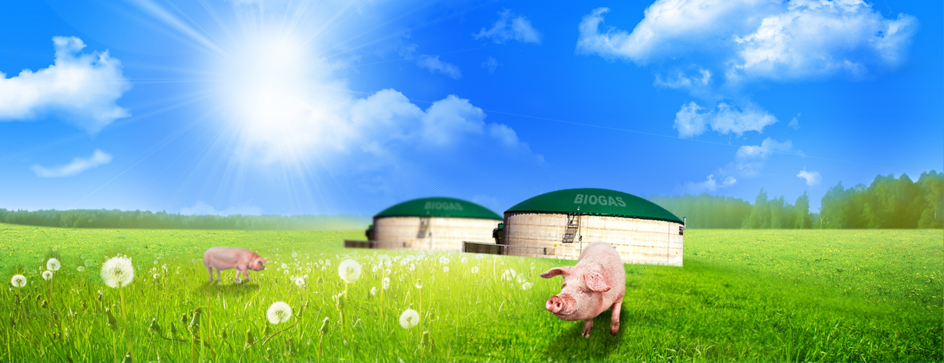 沼回家園 升級傳統豬圈飼養方式 將生質廢棄物厭氧發酵、降低臭味 創造綠色畜牧、守護你我家園